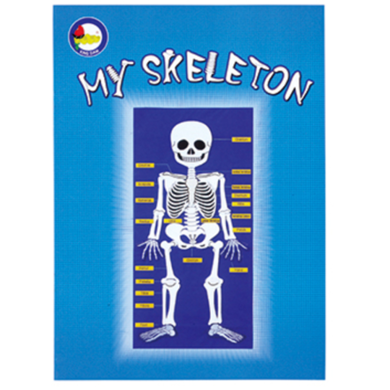 #14503-2 My Skeleton