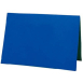 #12901 Teaching Board (green + blue)