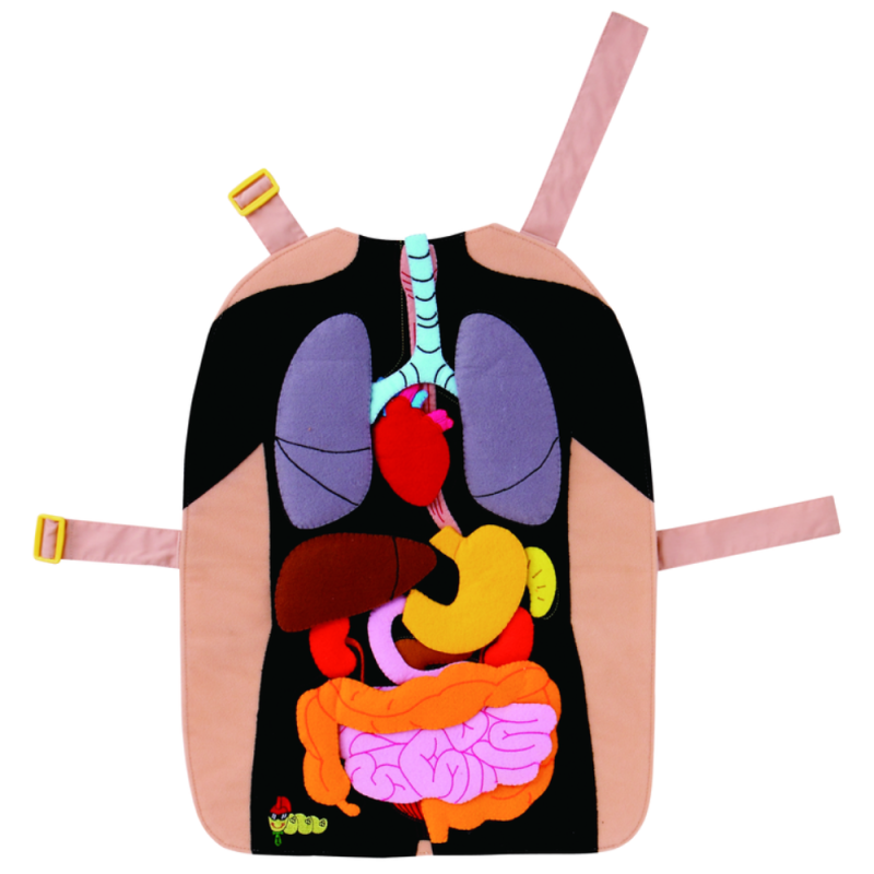 #14606 My Body Apron