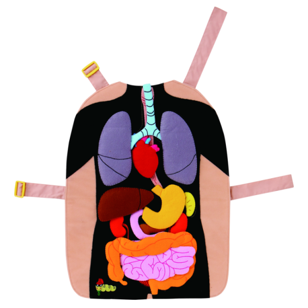 #14606 My Body Apron